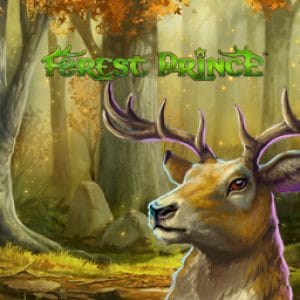 Forest Prince screenshot
