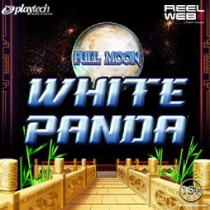 Full Moon White Panda screenshot